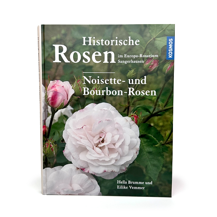 Historische Rosen Noisette- und Bourbon Rosen