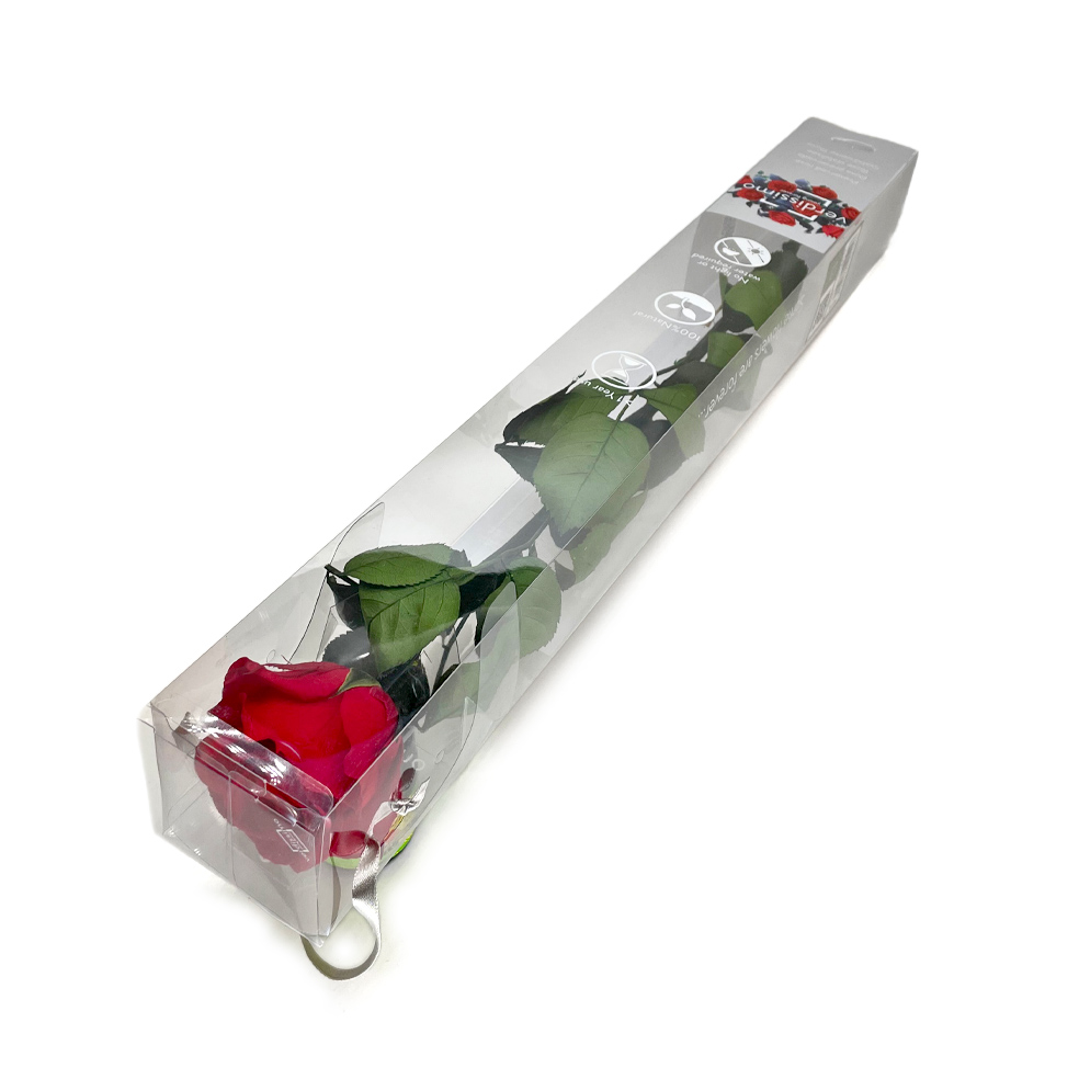 konservierte Rose Red 54 cm